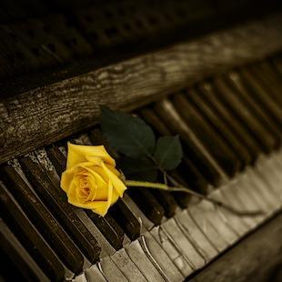 Prelude No. 4 in Em, Op. 28 album cover