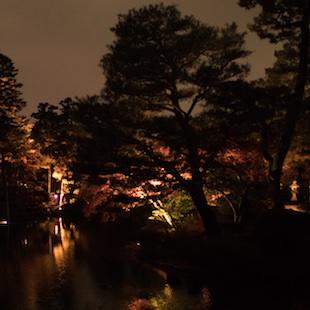 Nocturne No. 1 in B♭m, Op. 9 album cover