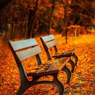 Autumn Leaves album cover