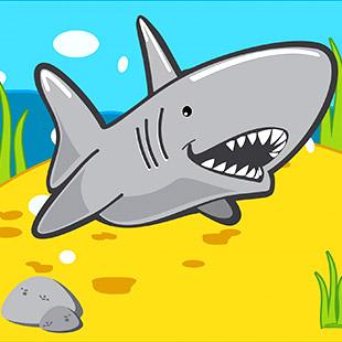 Baby Shark album cover