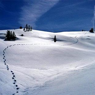 Des pas sur la neige – Prélude No. 6, L.117 album cover