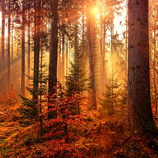 October: Autumn Song – The Seasons album cover