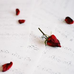 Canon in D album cover