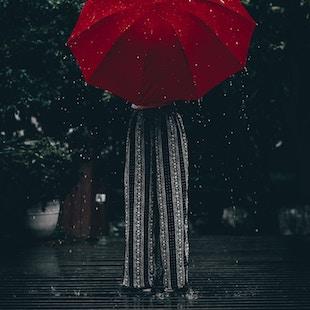 Raindrop Prelude – Op. 28, No. 15 album cover