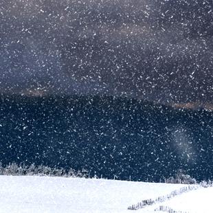 The Snow Is Dancing album cover
