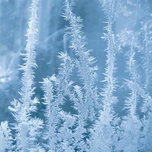 Let It Go – Frozen album cover
